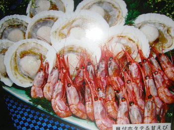 エビホタテ