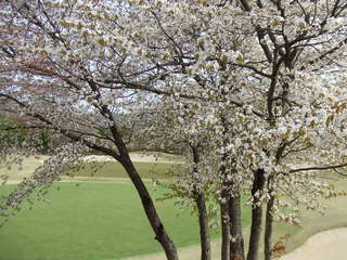 DSCF3756.JPG