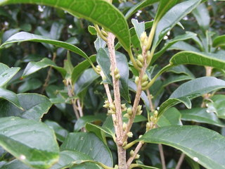 DSCF3933.JPG