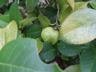 DSCF3934.JPG