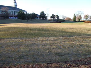 DSCF3979.JPG