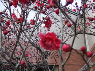 DSCF4121.JPG