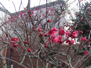 DSCF4123.JPG