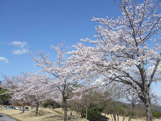 DSCF4204.JPG