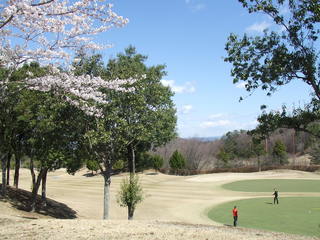 DSCF4207.JPG