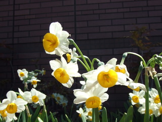 DSCF4208.JPG